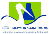 Guadianalisis